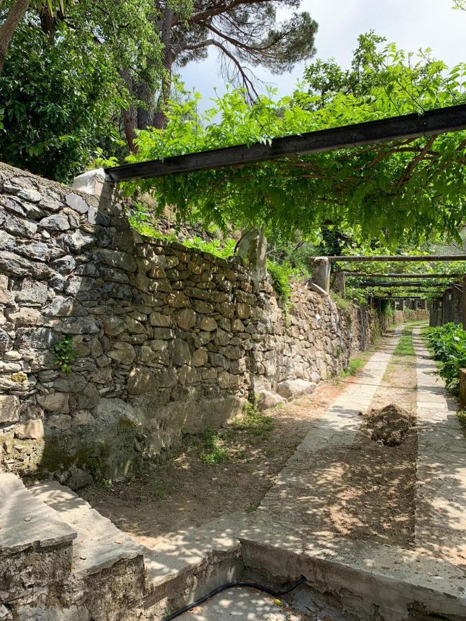 Vecchio Mulino Fontona Ortensia Chiesanuova  Exterior foto