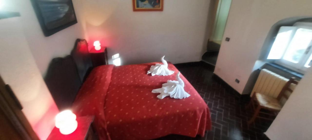 Vecchio Mulino Fontona Ortensia Chiesanuova  Exterior foto